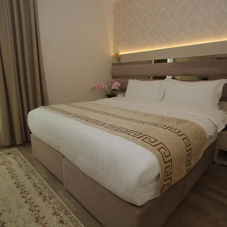 Capital Bruci 3* 地拉那